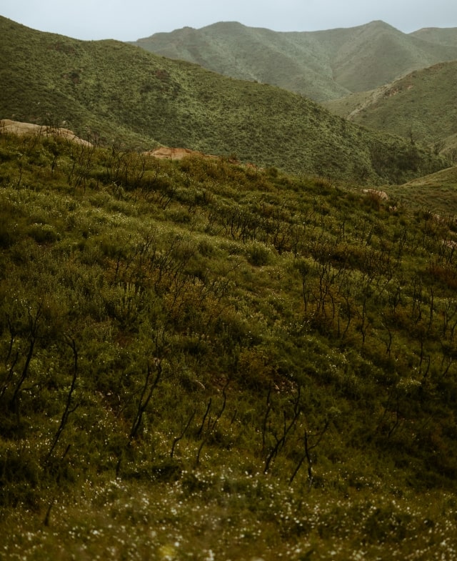 nathan dumlao rVXQ7O5MyTQ unsplash min rolf.