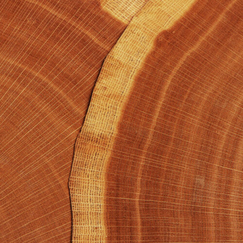 rolf eyewear wood pattern rolf.