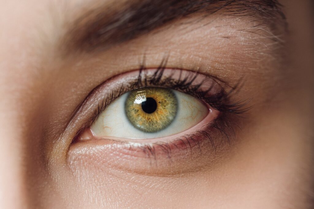 Hazel Hazel