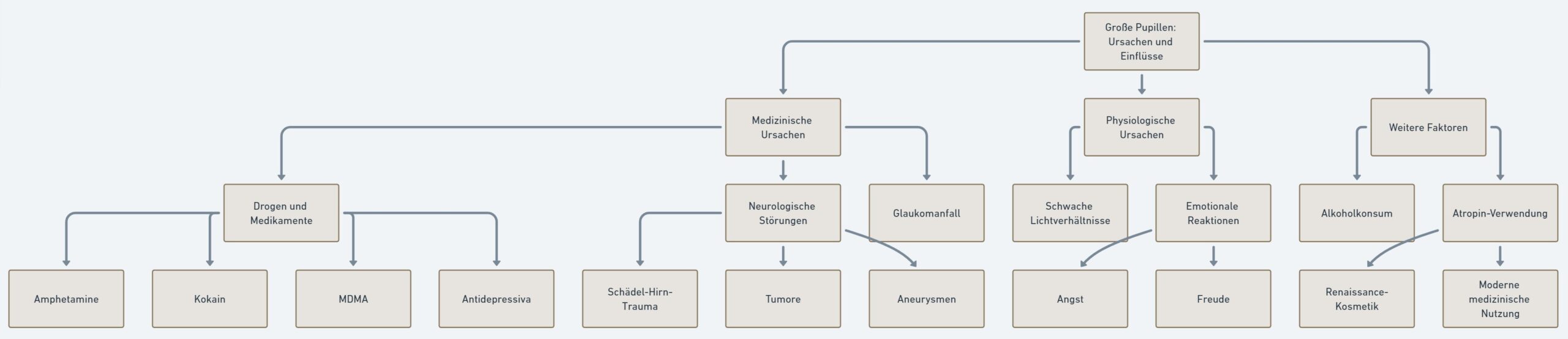 Diagramm zu Ursachen großer Pupillen, unterteilt in Drogen, Medikamente, medizinische, physiologische und weitere Faktoren wie Alkohol- und Atropin-Verwendung.