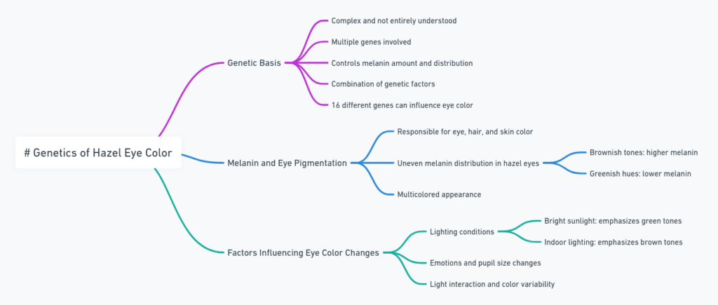 Mindmap on the genetics of hazel eye color, illustrating genetic basis, melanin distribution, and factors influencing color changes.