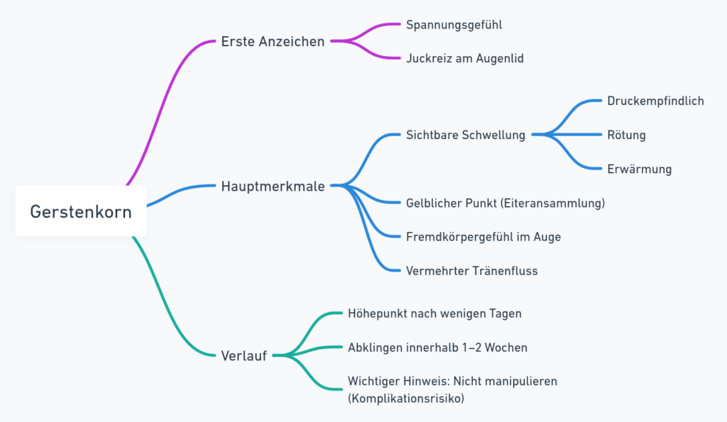 Mindmap zur Darstellung der Symptome eines Gerstenkorns, mit Kategorien wie erste Anzeichen, Hauptmerkmale und Verlauf.