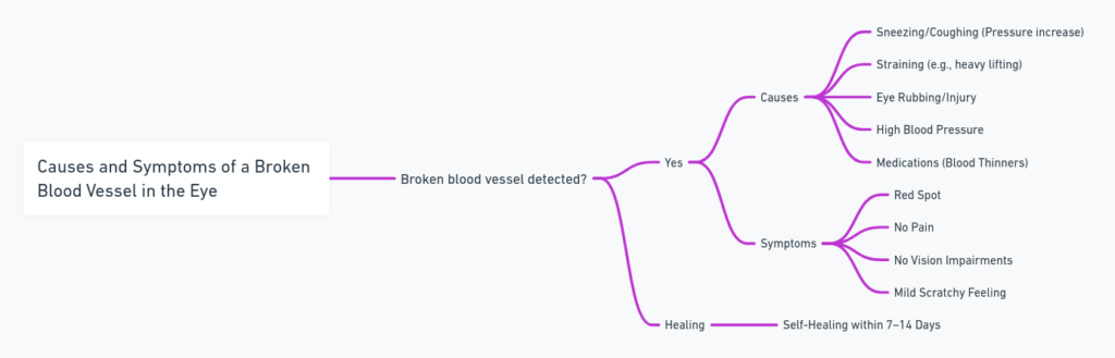 Mind map showing the causes and symptoms of a broken blood vessel in the eye, divided into causes, symptoms, and healing.