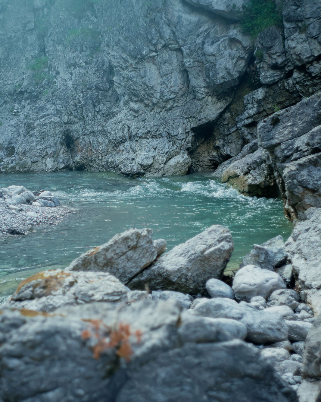 rolf planet nature river stone responability rolf.
