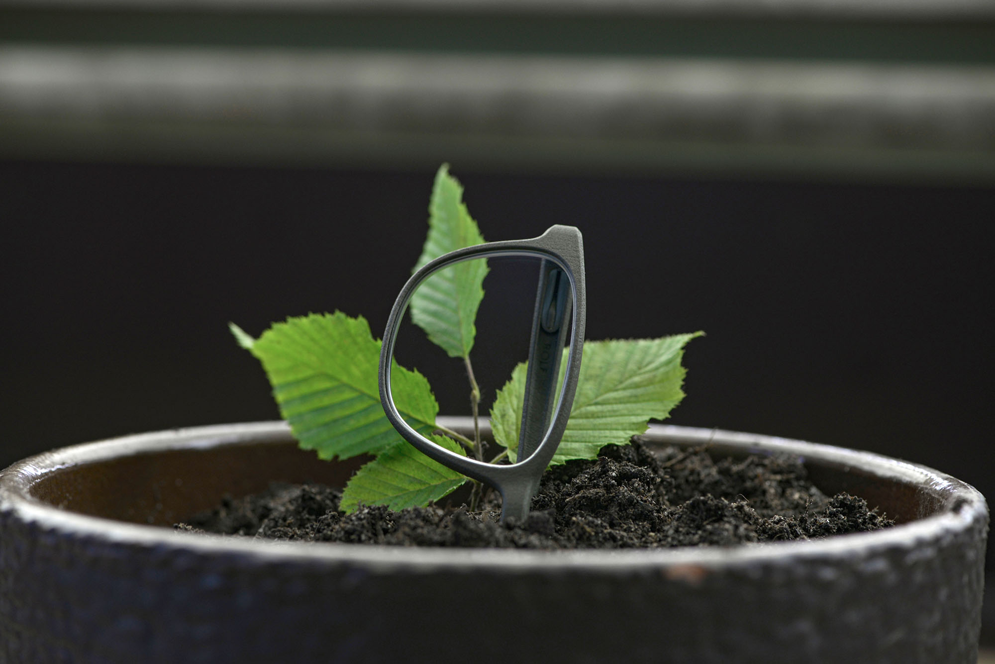 rolf-eyewear-european-green-award-bohnenbrille-bean