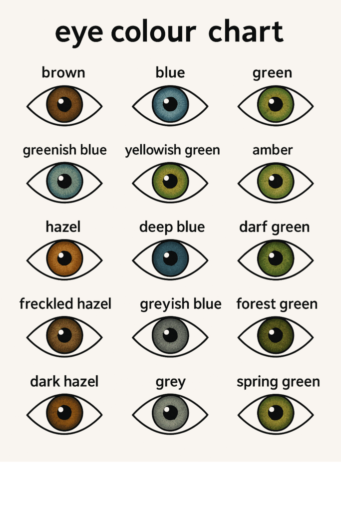 natural eye colour chart with sixteen different natural eye colours including brown, blue, green, hazel, grey, and various mixed shades
